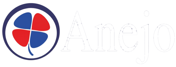 Anejo Producciones