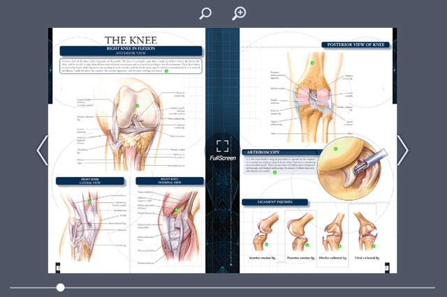 Flipbook